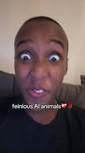 Tralalero Tralala X Fein