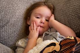 Fundraiser by Zachary Tabler : Support Jovie's Dental Surgery Costs