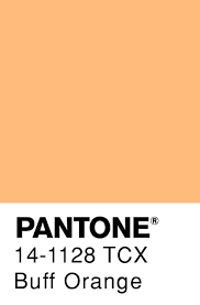 Buff Orange Pantone Pantone Warna
