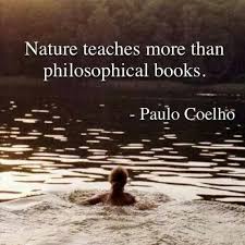 Nature Paulo Coelho Paulo Coelho Quotes Leader Quotes
