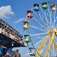 Expo Brome
