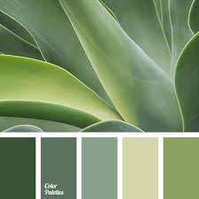 For your information, we uploaded best color combination. Best Color Combination With Aqua Blue Living Room Design