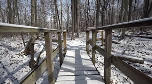 Beech Hollow Loop Trail 0 5 Miles In Fishers In At Ritchey Woods Nature Preserve Hiking Nature Outdoors Nature Preserve Trail Nature