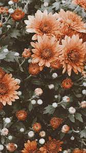 Vintage Fall Aesthetic Background Flower Iphone Wallpaper Fall Wallpaper Wallpaper Iphone Summer