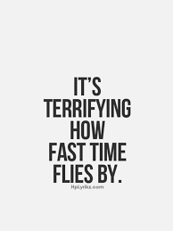 I'm fair sure flies is the plural of the fly insect haha. It S Terrifying How Fast Time Flies By Fly Quotes Time Flies Quotes Mom Life Quotes