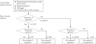 Prematurely Ruptured Dominant Follicles Often Retain