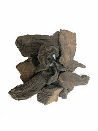 Image result for Rourea orientalis