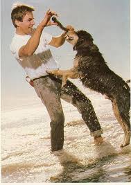 It S The Kayak S Fault Mark Harmon Ncis Rocky Carroll