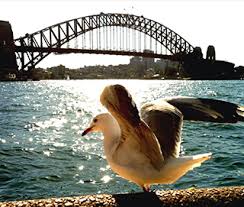 Make your next business move in south australia. How To Apply For Permanent Residency Australia Pr Idp Australia