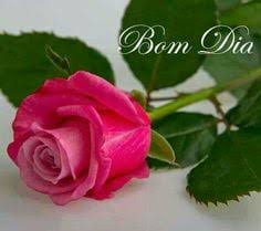 images?q=tbn:ANd9GcTwXcZoz5b0adRLSr60Ovi