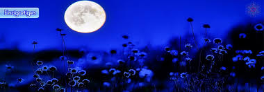 Jan 28, 2021 · vollmond august 2019; Tagesenergie Am 04 August 2020 Der Nachwirkende Vollmond Wunscherfullung