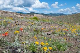 North Table Mountain Golden Colorado By Cascade Colors Table Mountain Colorado Landscape Golden Colorado