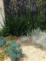 Natives And Succulents At Cameron Paterson S Toorak Garden Australian Garden Australian Garden Design Amazing Gardens
