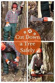 Pin On Tree Felling