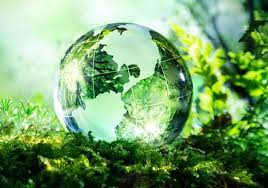Il 5 giugno 2020 si celebra la giornata mondiale dell'ambiente che l'onu dedica alla biodiversità e alla necessità sia di comprendere l'importanza dell'esistenza e coesistenza di specie diverse sia di tutelare il patrimonio della biodiversità, così fondamentale per la vita sulla terra. Giornata Mondiale Dell Ambiente