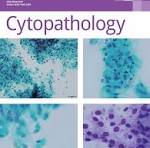 Journal Cover Image | Wiley