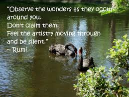 Rumi Awakening Photo By Malu And Aj Rumi Quotes Nature Quotes Rumi Poetry
