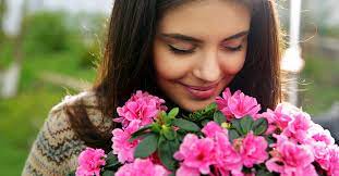 Understanding Your Loss Of Smell Sinus Nasal Specialists Of Lousiana