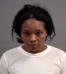 2 from High Point charged in Virginia killing