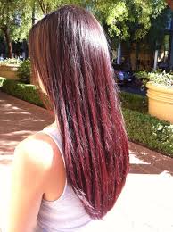 Light Brown Hair With Burgundy Ombre Dark Brown To Burgundy Ombre Burgundy Brown Hair Light Brown Hair Burgundy Hair Ombre