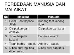 Persamaan Manusia Dan Malaikat Dengan Malaikat Hewan Filsafat Secara Ilmiah Menurut Islam Menurut Al Quran Malaikat Manusia