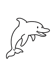 Malvorlage Delphin Kostenlose Ausmalbilder Zum Ausdrucken