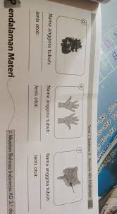 Home › bahasa madura › bahasa madura dan artinya › bahasa madura sehari hari › belajar bahasa madura › kamus bahasa madura. Perhatikan Gambar Anggota Tubuh Manusia Berikut Tuliskan Nama Anggota Tubuh Dan Jenis Otot Yang Brainly Co Id