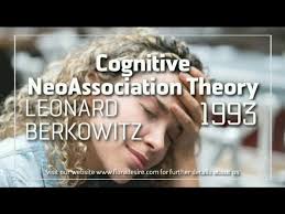 Cognitive NeoAssociation Theory