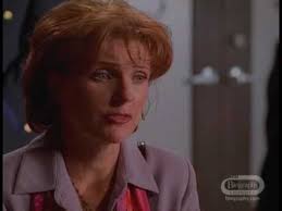 The District TV Series