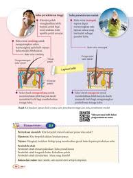 Pelarut untuk mineral,vitamin,asid amino,glukosa dan molekul kecil lain agar mudah diserap ke dalam tubuh. Bab 3 Kawal Atur Kandungan Air Flip Ebook Pages 1 3 Anyflip Anyflip