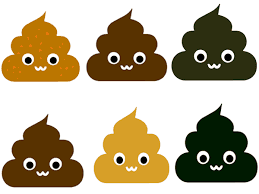 Image result for acholic stools human