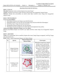 Maybe you would like to learn more about one of these? 1a 1613024045 Rita Evita Lkm 9 Diagram Dan Rumus Bunga Pdf