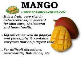 Mangos may help aid in digestion, quicken weight loss, and boost immunity. Properties Of Mango Botanical Online