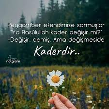 Hazreti Mevlana Sozleri Www Corek Otu Yagi Com Ozlu Sozler Dualar Guzel Soz