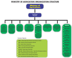 27 Correct State Farm Organization Chart