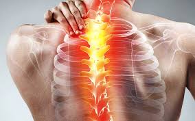 The twelve thoracic vertebrae are numbered t1 to t12. Inflammation And Your Bones Thriven Functional Medicine Clinic