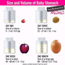 Personally, i'm 17 years old. Size Of Newborn Baby Stomach Newborn Baby