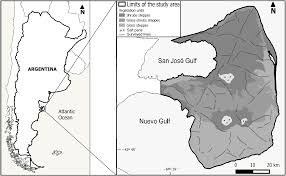 As she has cushing's disease. Modeling The Spatial Structure Of The Endemic Mara Dolichotis Patagonum Across Modified Landscapes Peerj