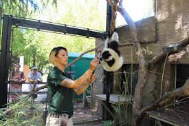 More than 140 kinds of native, exotic & endangered animals. Encounters With Keepers At The Sacramento Zoo Comstock S Magazine