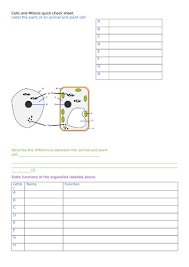 Check spelling or type a new query. Animal Cells Plant Cells And Mitosis Differentiated Teaching Resources