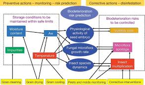Grain Storage An Overview Sciencedirect Topics