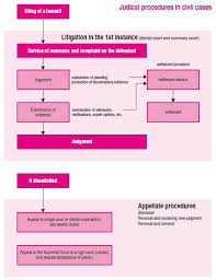 What happened in brown v. æ—¥æœ¬å¼è­·å£«é€£åˆä¼š The Japanese Judicial System