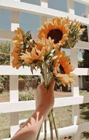 Vsco butterfly background butterflybackground aesthetic. 001 Aesthetic Twitterissa 46 Trendy Yellow Aesthetic Wallpaper Iphone Sunflowers Sunflowerwallpaper Ipho 8230