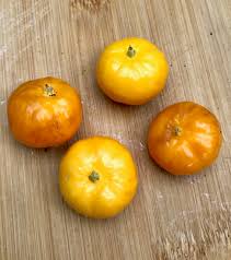 Image result for Uvaria rovumae