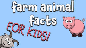 From the tiny flea to the great blue whale, each animal possesses a unique quality that makes it stand out from the rest. Farm Animal Facts For Kids Youtube