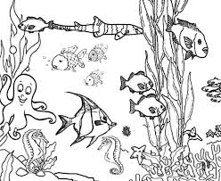 We're saving the great barrier reef and all it's living diversity for future generations. Great Barrier Reef Coloring Pages Coloring Home