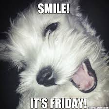 Whether you're a student or working a regular 9 to 5, this bit of news at the end of the week is definitely a sweet treat. Thank God It S Friday Dog Edition Friday Memes Friday Dog Cute Animal Memes Funny Animals