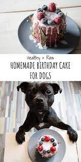 Account Suspended Dog Cakes Dog Cake Recipes Dog Birthday Cake