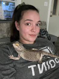 Bearded dragon eats from hand after 14 years