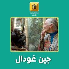 جين جودال jane goodall جين غودال هي عالمة متخصصة في القردة العليا والحياة البرية بريطانية الجنسية تعرف بأنها الخبير الرئيسي في الشمبا pandora screenshot pandora